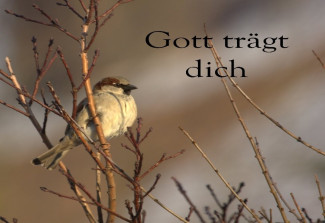 Gott trägt dich