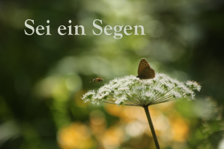 Sei ein Segen